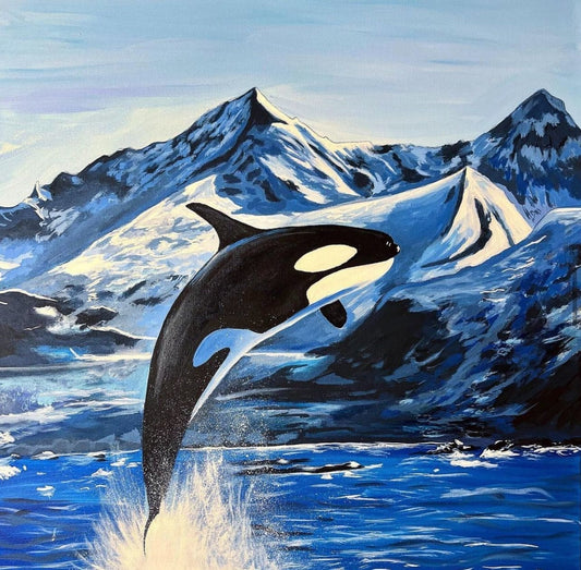 Orca Dreams